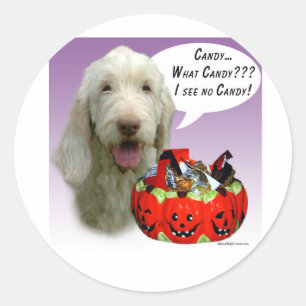 Sticker Rond Spinone Italiano Halloween Candy