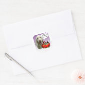 Sticker Rond Spinone Italiano Halloween Candy (Enveloppe)