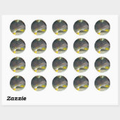 Sticker Rond Splendide poisson-crapaud (Feuille)