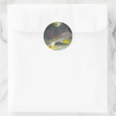 Sticker Rond Splendide poisson-crapaud (Sac)