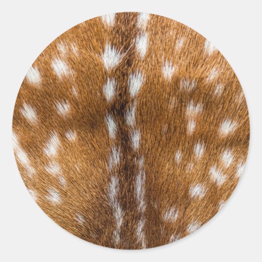 Sticker Rond Spotted deer pour texture (Devant)