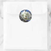 Sticker Rond Spring Flowering Pear Tree (Sac)