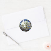 Sticker Rond Spring Flowering Pear Tree (Enveloppe)