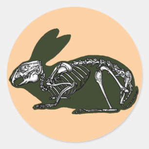 Sticker Rond squelette
