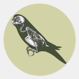 Sticker Rond Squelette de Budgie