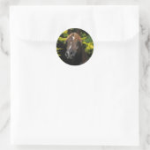 Sticker Rond Stallion arabe (Sac)