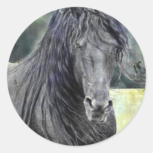 Sticker Rond Stallion friésienne (Devant)