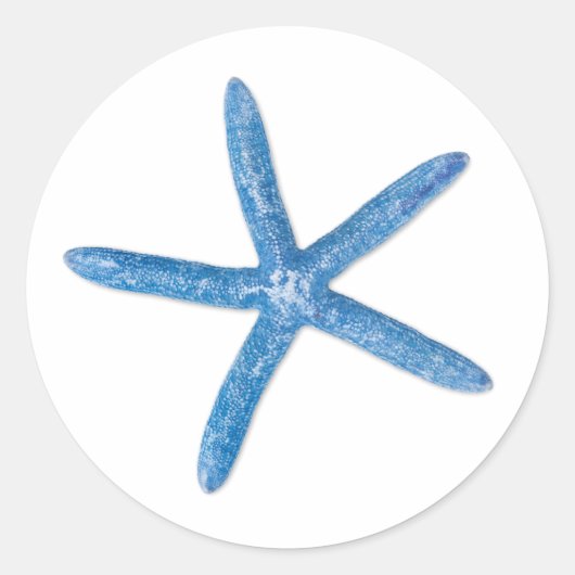 Sticker Rond Starfish bleu (Devant)