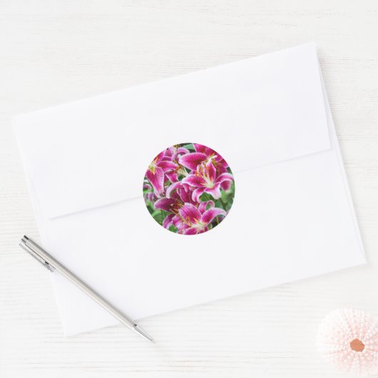 Sticker Rond Stargazer Lilies (Enveloppe)