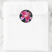Sticker Rond Stargazer Lily (Sac)