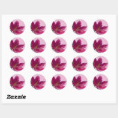Sticker Rond Stargazer Lily (Feuille)