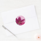 Sticker Rond Stargazer Lily (Enveloppe)