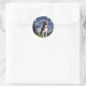 Sticker Rond Starry Night - Boston T (2rc) (Sac)