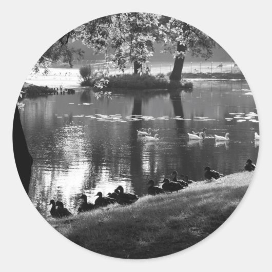 Sticker Rond Stcn Park Life (Devant)