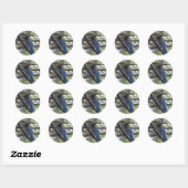 Sticker Rond Stellar Jay- Yosemite (Feuille)