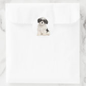 Sticker Rond Stick Chien Chien Chien Noir Et Blanc Havanais (Sac)