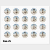 Sticker Rond Stick Harlequin Great Dane Chien Chien / Sceau (Feuille)