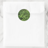 STICKER ROND STICK IT - SAMPHIRE FRANÇAIS (Sac)