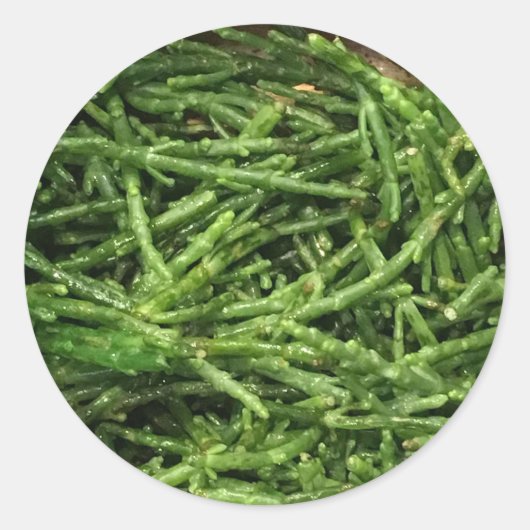 STICKER ROND STICK IT - SAMPHIRE FRANÇAIS (Devant)