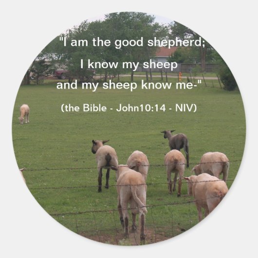 Sticker Rond Stickers/Moutons (Devant)