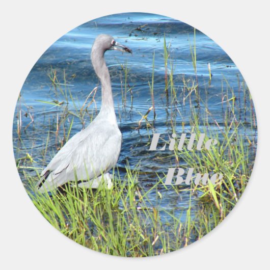 Sticker Rond Stickers, Petit Bleu (Devant)