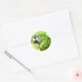 Sticker Rond Sticule de perroquet vert 2 (Enveloppe)