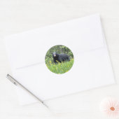 Sticker Rond Sticule rond Ours noir et Dandelions (Enveloppe)