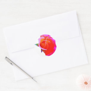 Sticker Rond Stimulateurs de rose orange