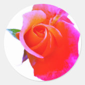 Sticker Rond Stimulateurs rose orange (Devant)
