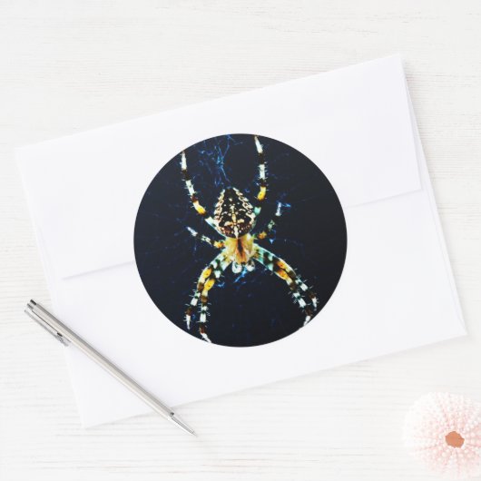 Sticker Rond Stkcna Araignée européenne (Enveloppe)