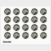 Sticker Rond Stormy (Feuille)