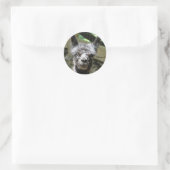 Sticker Rond Stormy (Sac)