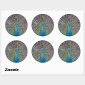 Sticker Rond Stunning (Feuille)