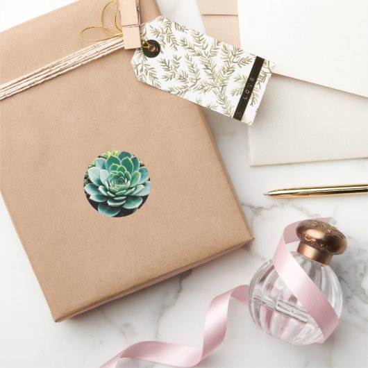 Sticker Rond Succulent (Cadeaux)