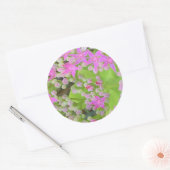 Sticker Rond Succulent rose chaud avec Feuilles vert chair (Enveloppe)