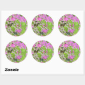 Sticker Rond Succulent rose chaud avec Feuilles vert chair (Feuille)