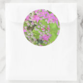 Sticker Rond Succulent rose chaud avec Feuilles vert chair (Sac)