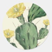 Sticker Rond Succulente (Devant)