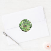 Sticker Rond Succulents (Enveloppe)