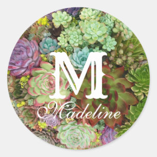 Sticker Rond Succulents dans le planteur