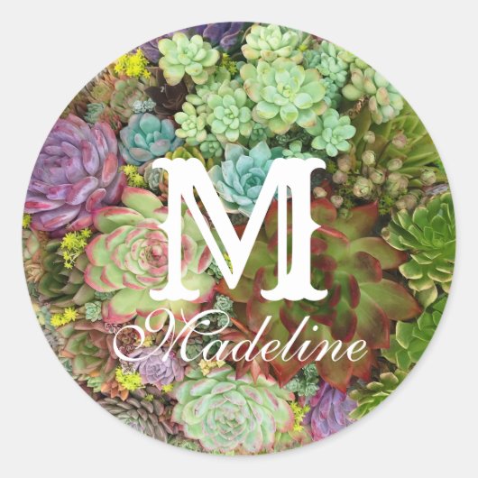 Sticker Rond Succulents dans le planteur (Devant)