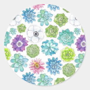Sticker Rond Succulents - multicolores -