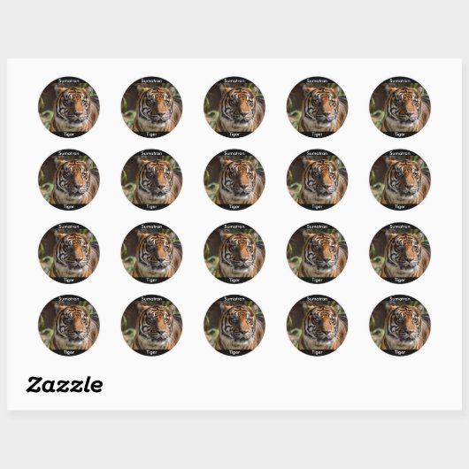 Sticker Rond Sumatran Tiger (Feuille)