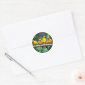 Sticker Rond Sun Conures (Enveloppe)