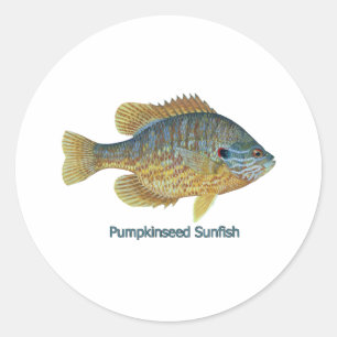 Sticker Rond Sunfish de Pumpkinseed (intitulé)