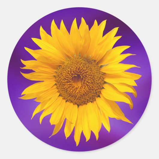 Sticker Rond Sunflower Elégant Violet Mariage Favoriser (Devant)