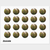 Sticker Rond Sunlit Fall Forest Paysage d'automne (Feuille)
