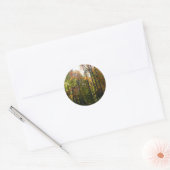 Sticker Rond Sunlit Fall Forest Paysage d'automne (Enveloppe)