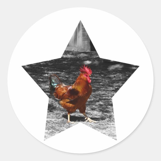 Sticker Rond Super étoile poulet (Devant)