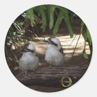 Sticker Rond Super Kookaburras
